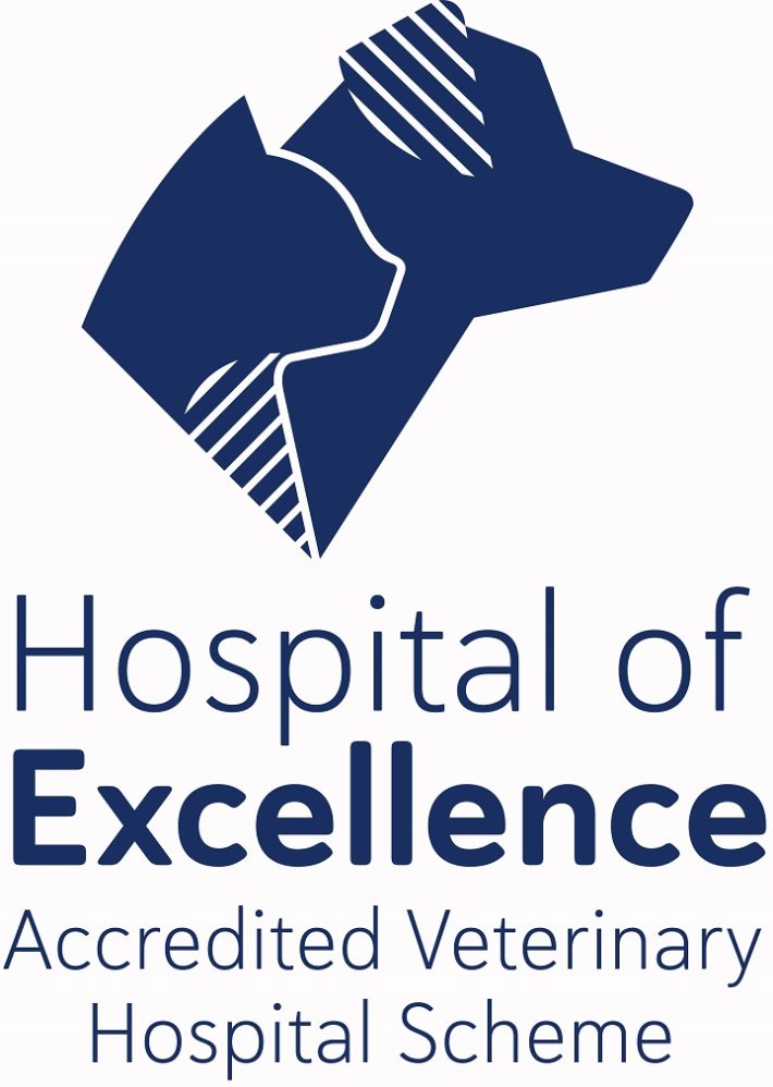 HospitalOfExcellence